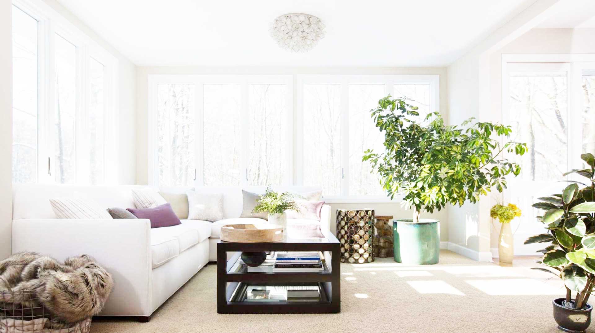 The Solution to your window film needs The Solution to your window film needs